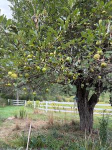 715 Gilmore Pond Road