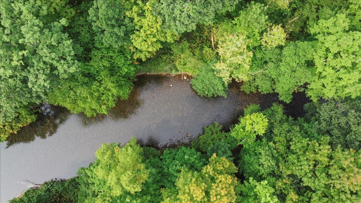 Image 4: Battenkill River Shared Access