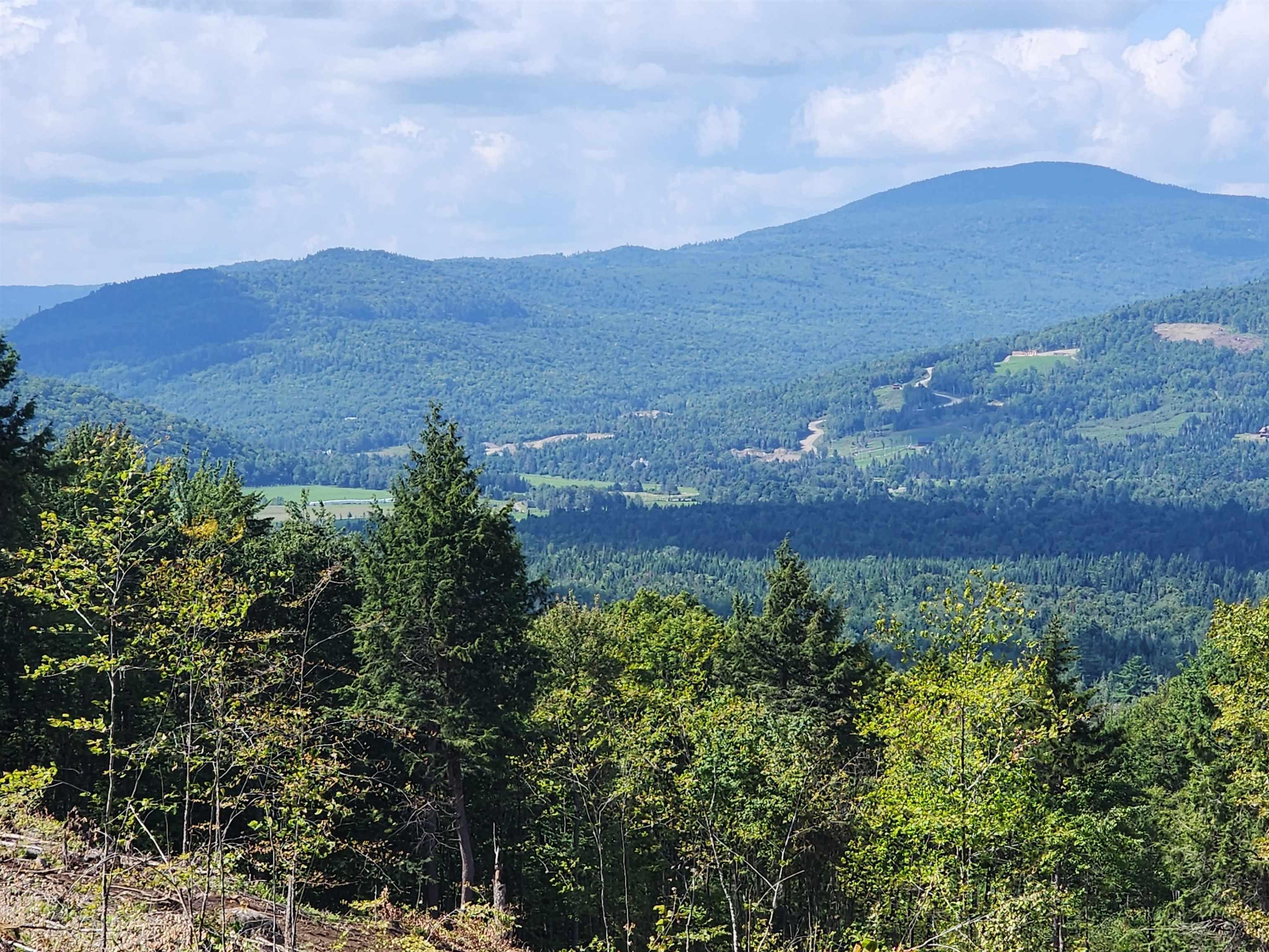 Image 4: View of Rivervail Buffalo Farm Image 4: View of Rivervail Buffalo Farm
