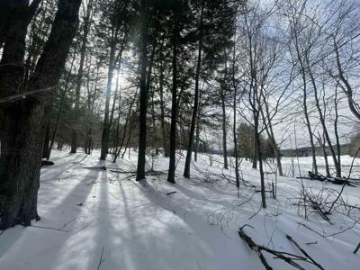 530 Finbars Forest Road