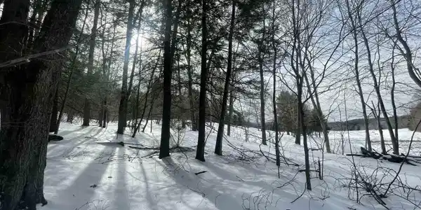 530 Finbars Forest Road