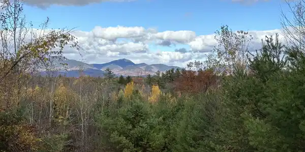 Image 2: Mountain View