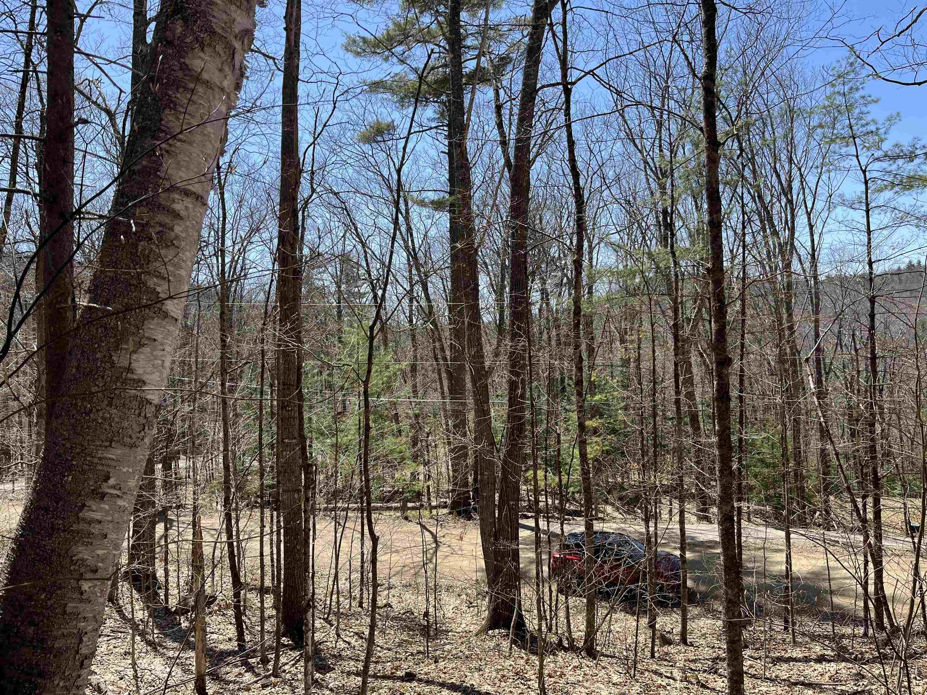 Image 1 Image 1
