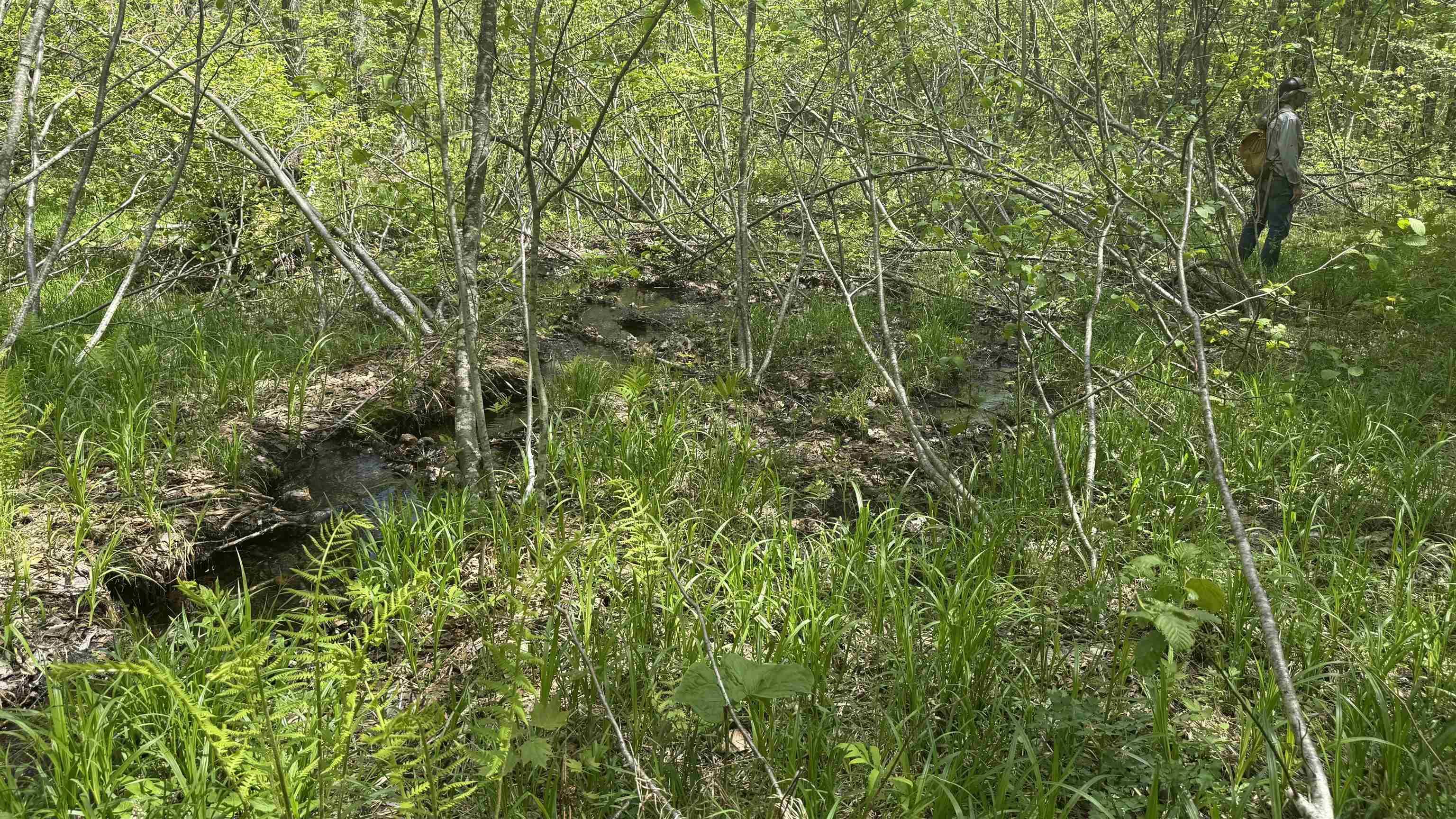 Image 4 Image 4