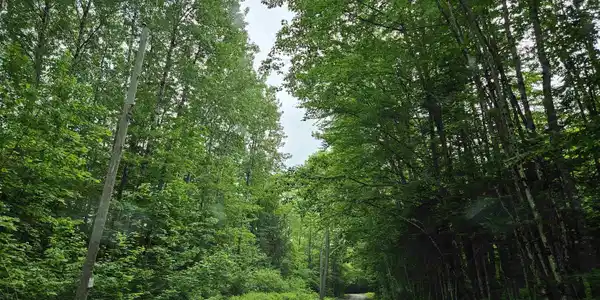 Lot 90 Faraway Road