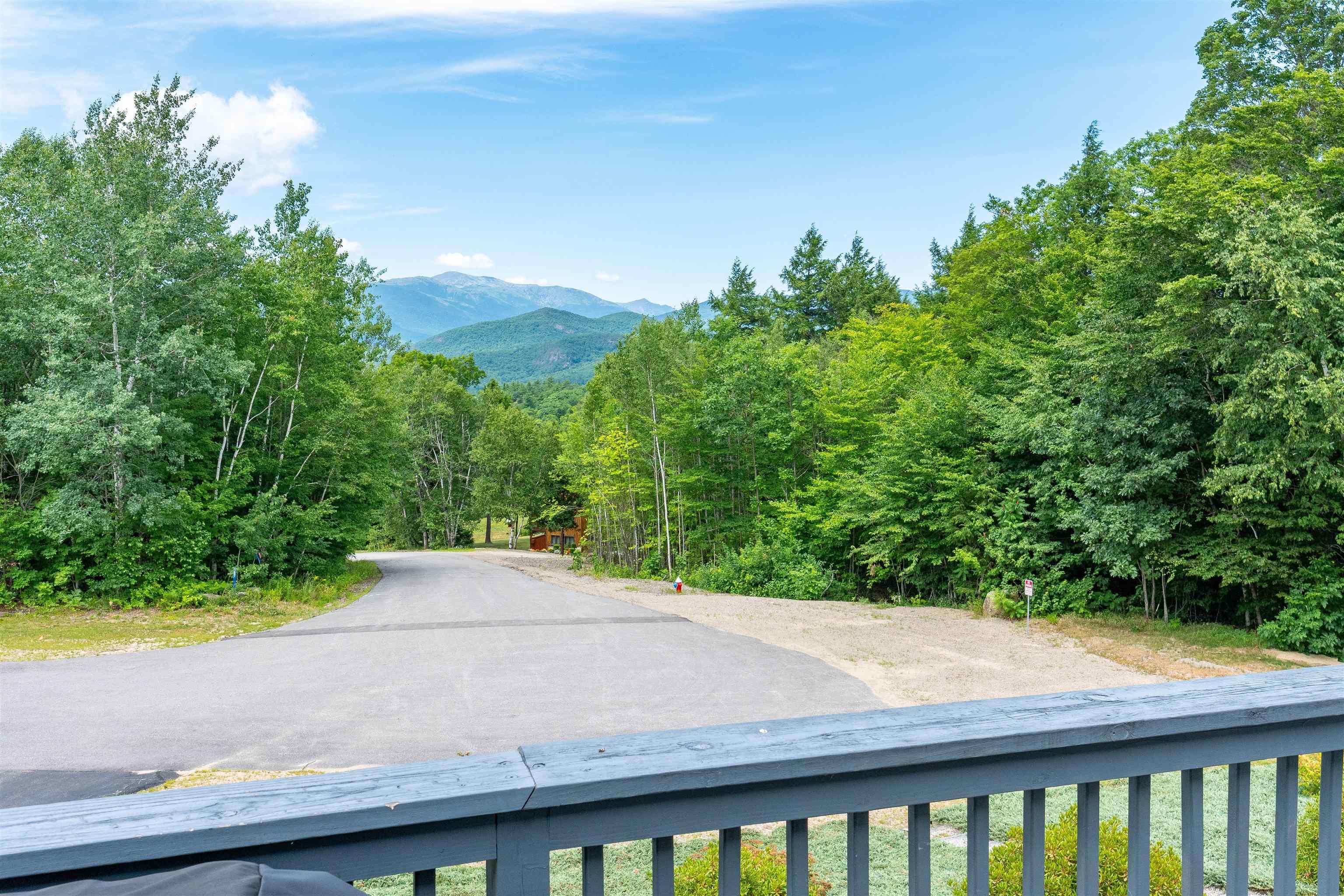 Image 4: Mt. Washington View