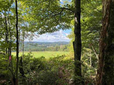 0 Danville Hill Road