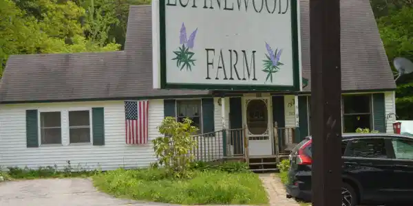 393 Jaffrey Road