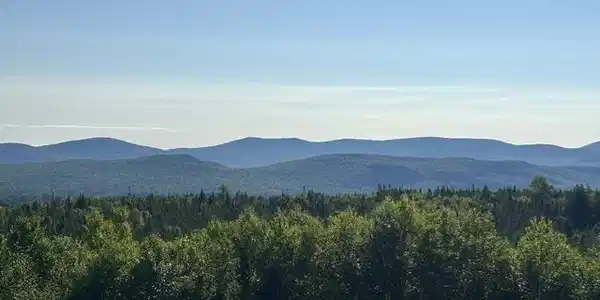 Image 2: View from cabin
