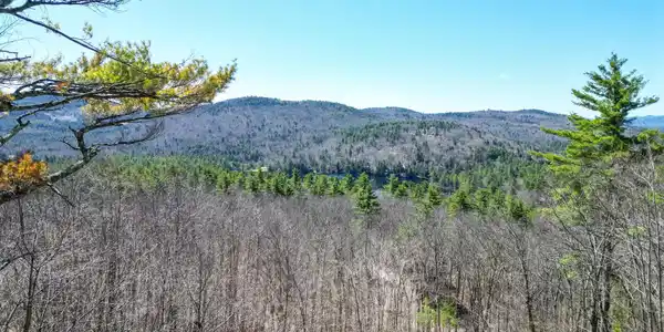 Image 4 Image 4