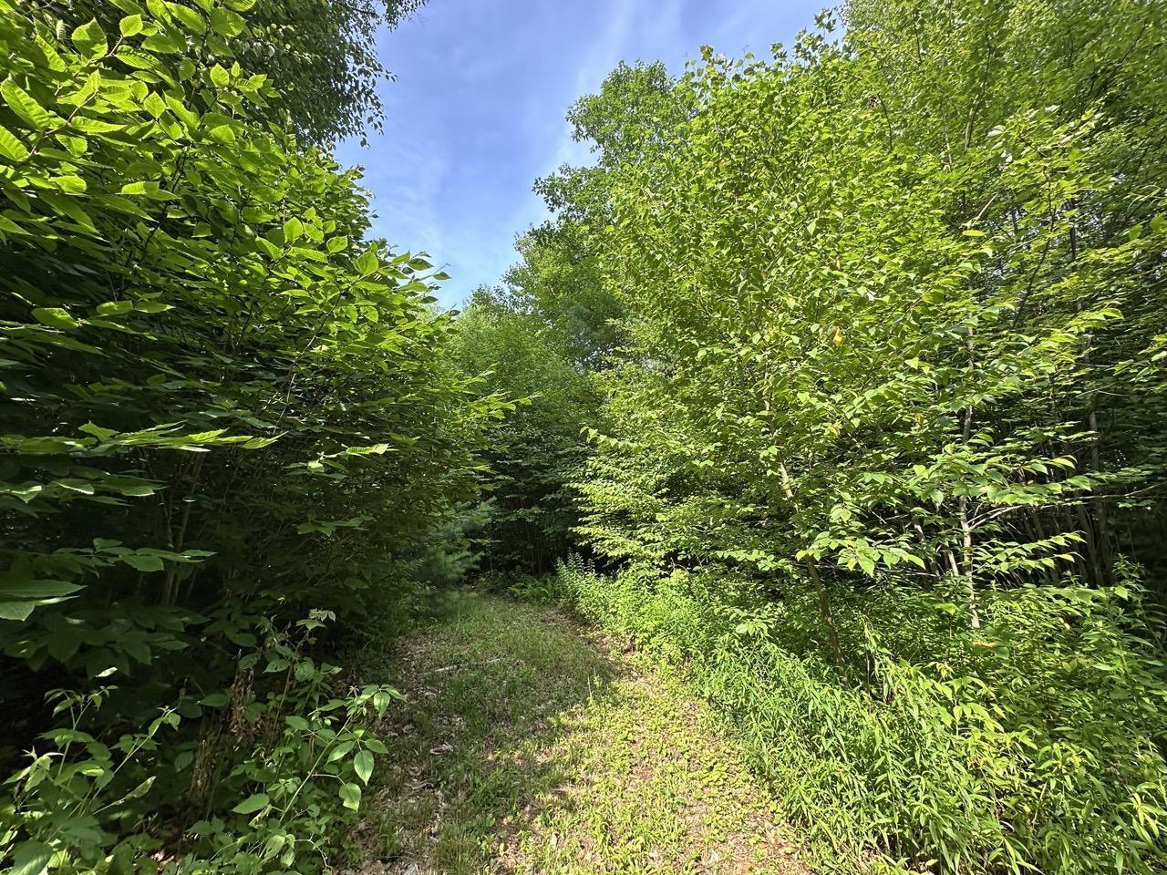 Image 4 Image 4