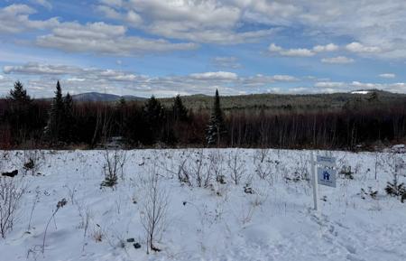 Lot #6 Skyline Way