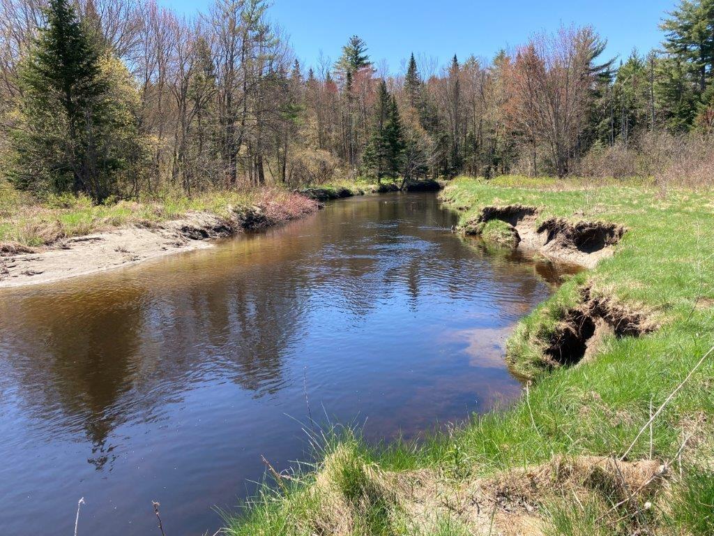 Image 2: Long River Frontage Image 2: Long River Frontage