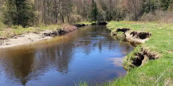 Image 2: Long River Frontage