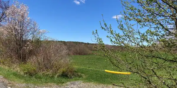 Image 4: Entrance To the Fields