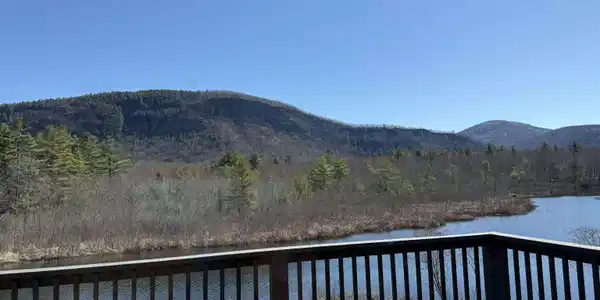 Image 2: VIEW FROM DECK