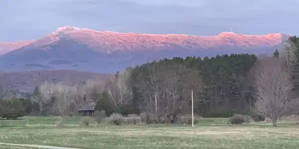 309 VT Route 15