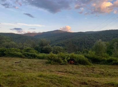 00 Fassett Hill