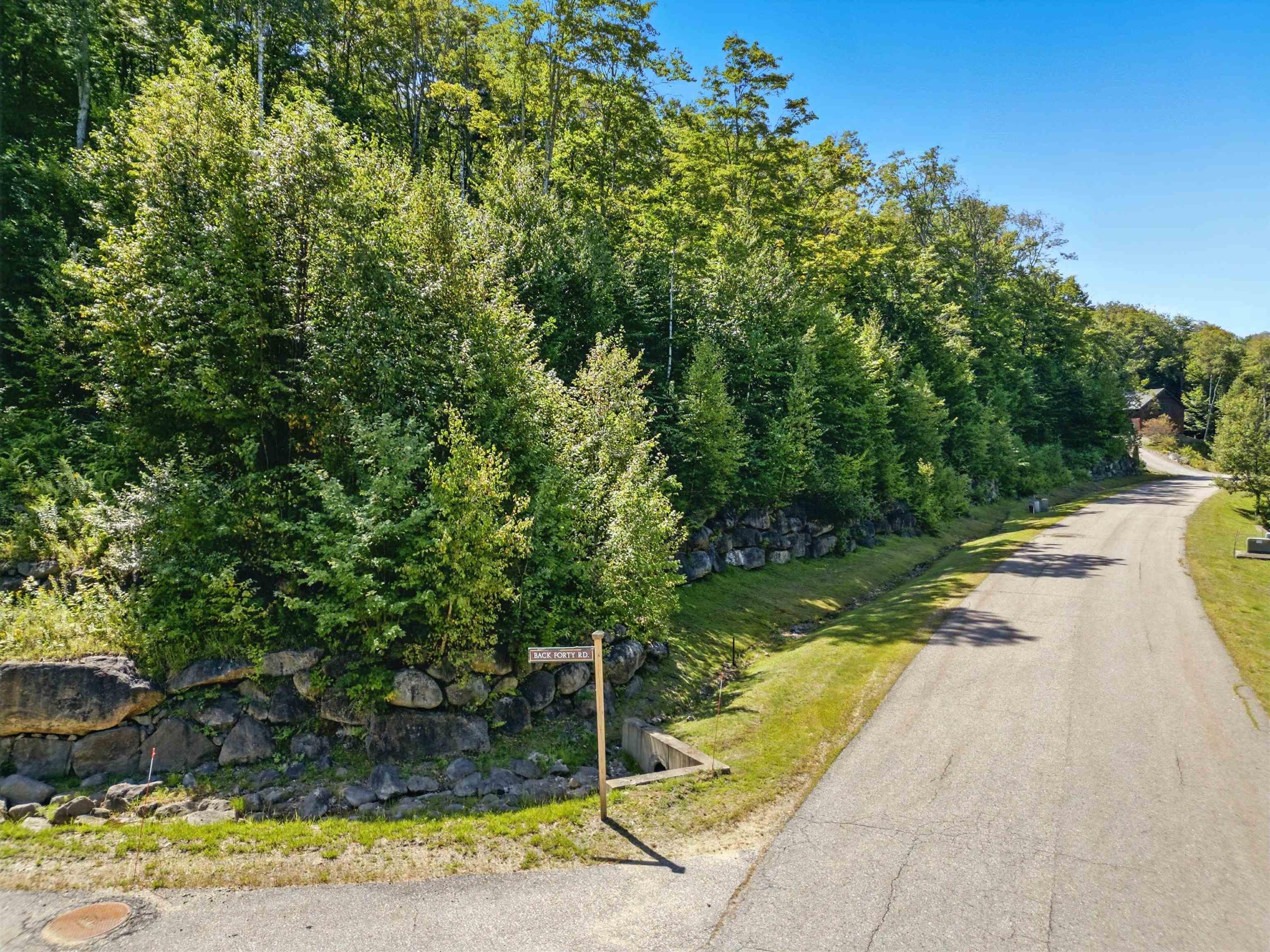 Image 4 Image 4