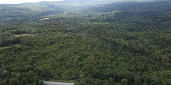 Image 4: Looking west  from the property