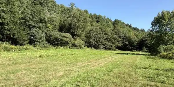 Image 4: House site 1a