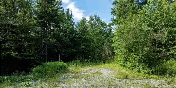 Image 2: Entrance to driveway from community Cul-de-sac