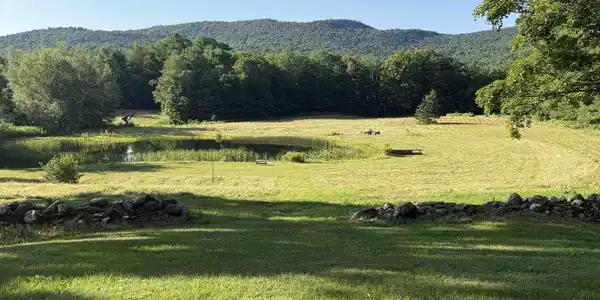 Image 2: VIEW FROM THE KITCHEN WINDOW