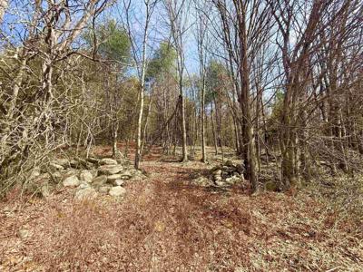 0 Green Mountain Turnpike