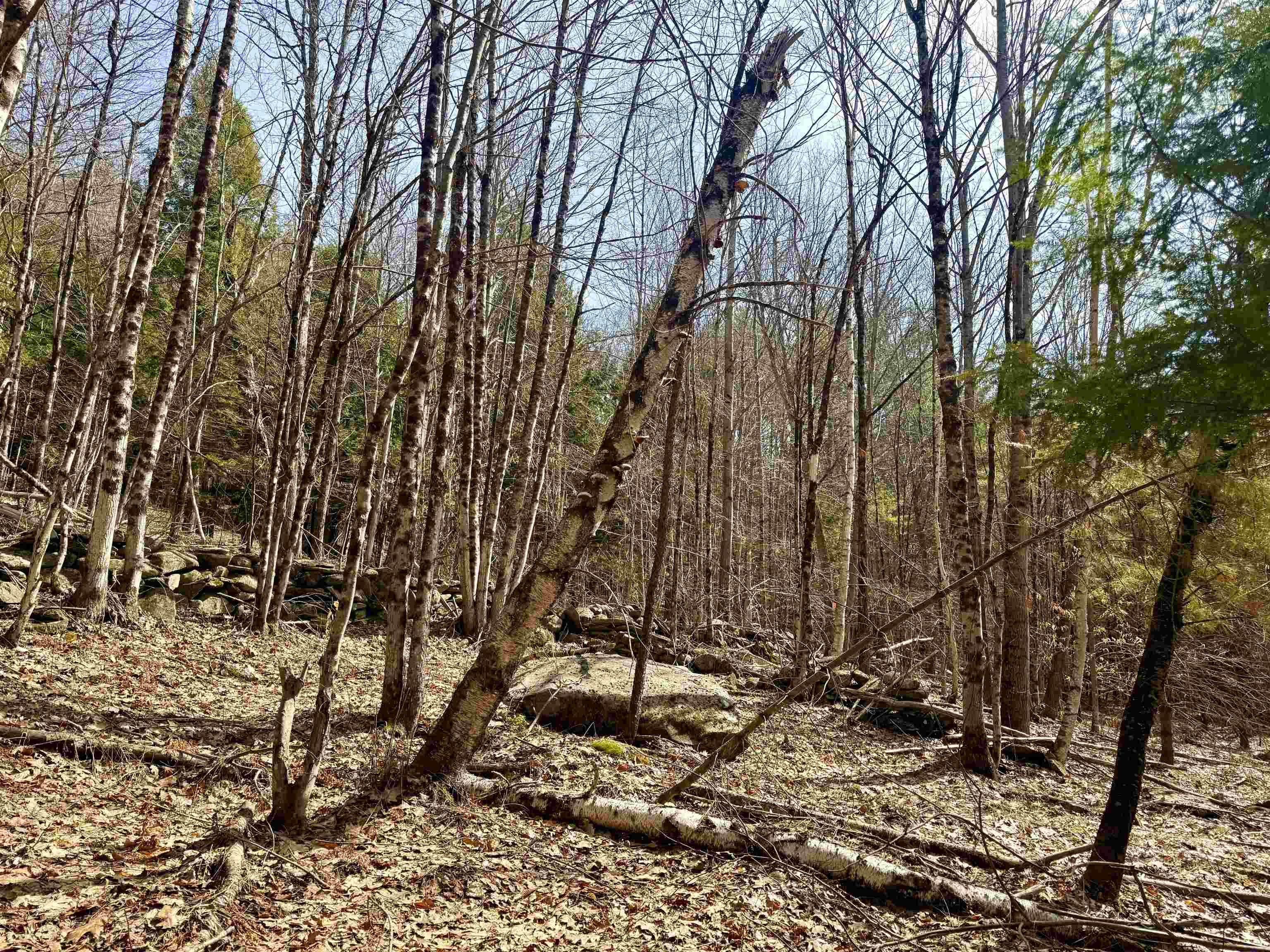 Image 2 Image 2