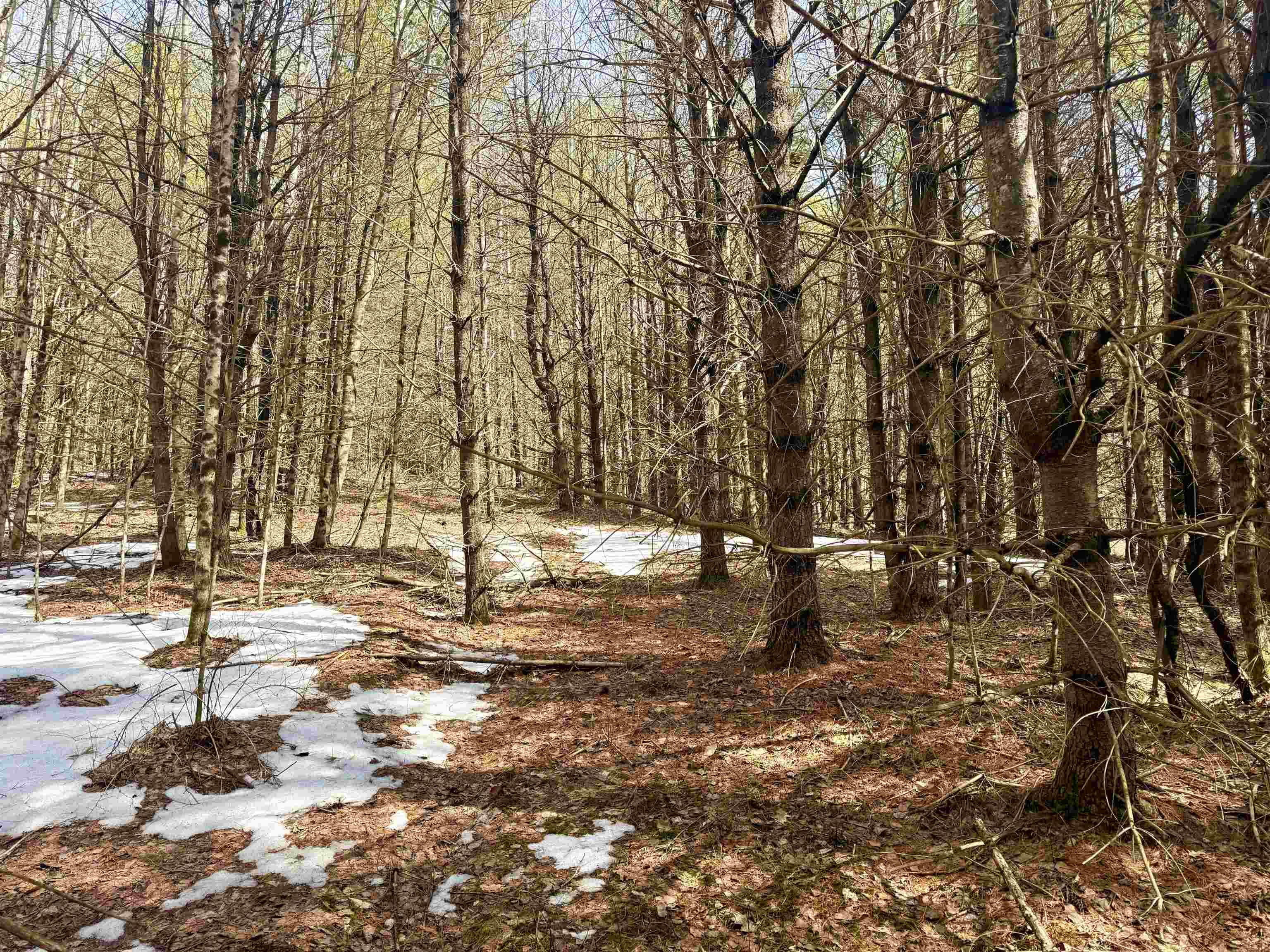Image 4 Image 4