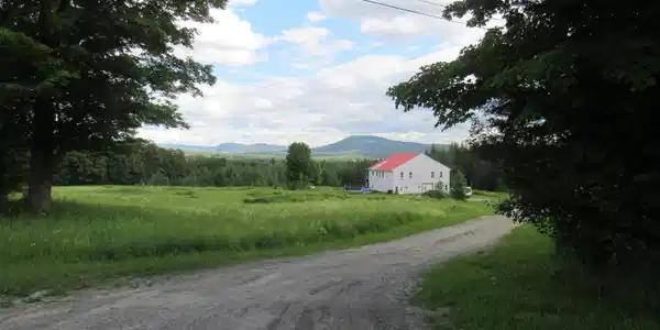 Image 3: Great Set Back from the Road