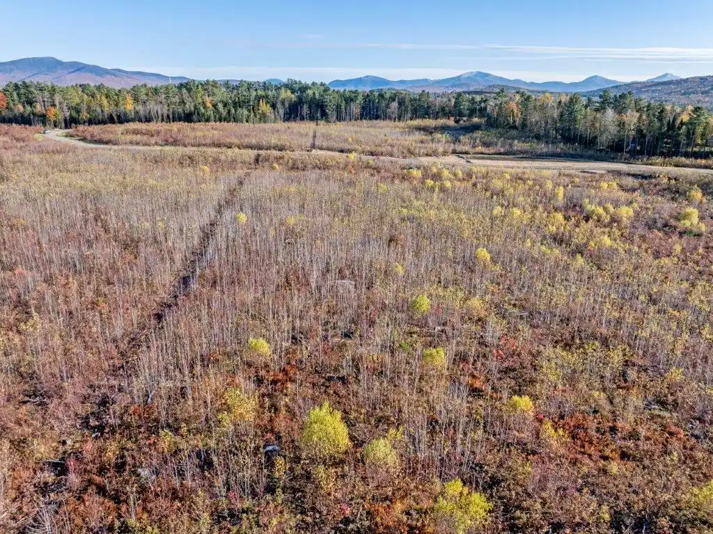 Image 1 Image 1