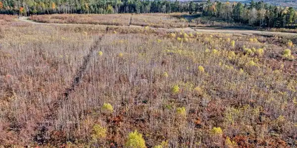 Lot 3 McIntyre Road