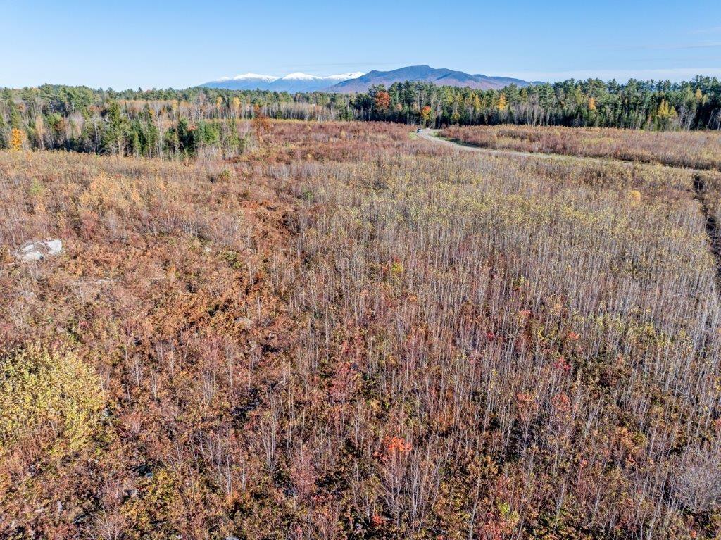 Image 1 Image 1