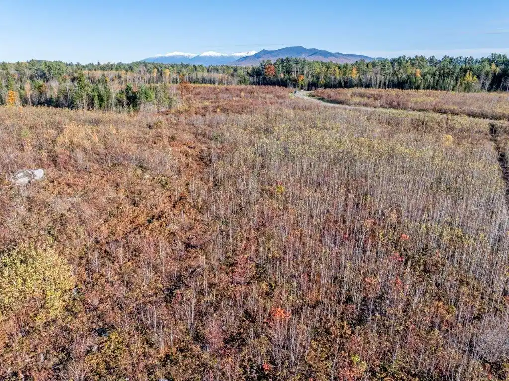 Image 1 Image 1