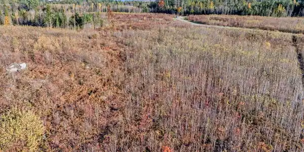 Lot 4 McIntyre Road
