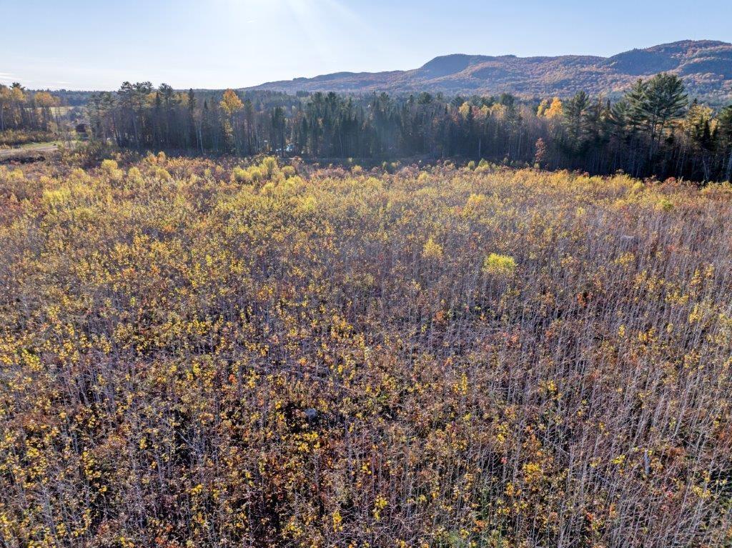 Image 4 Image 4