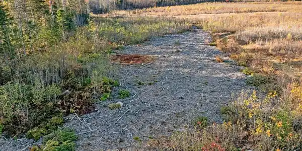 Lot 7 McIntyre Road