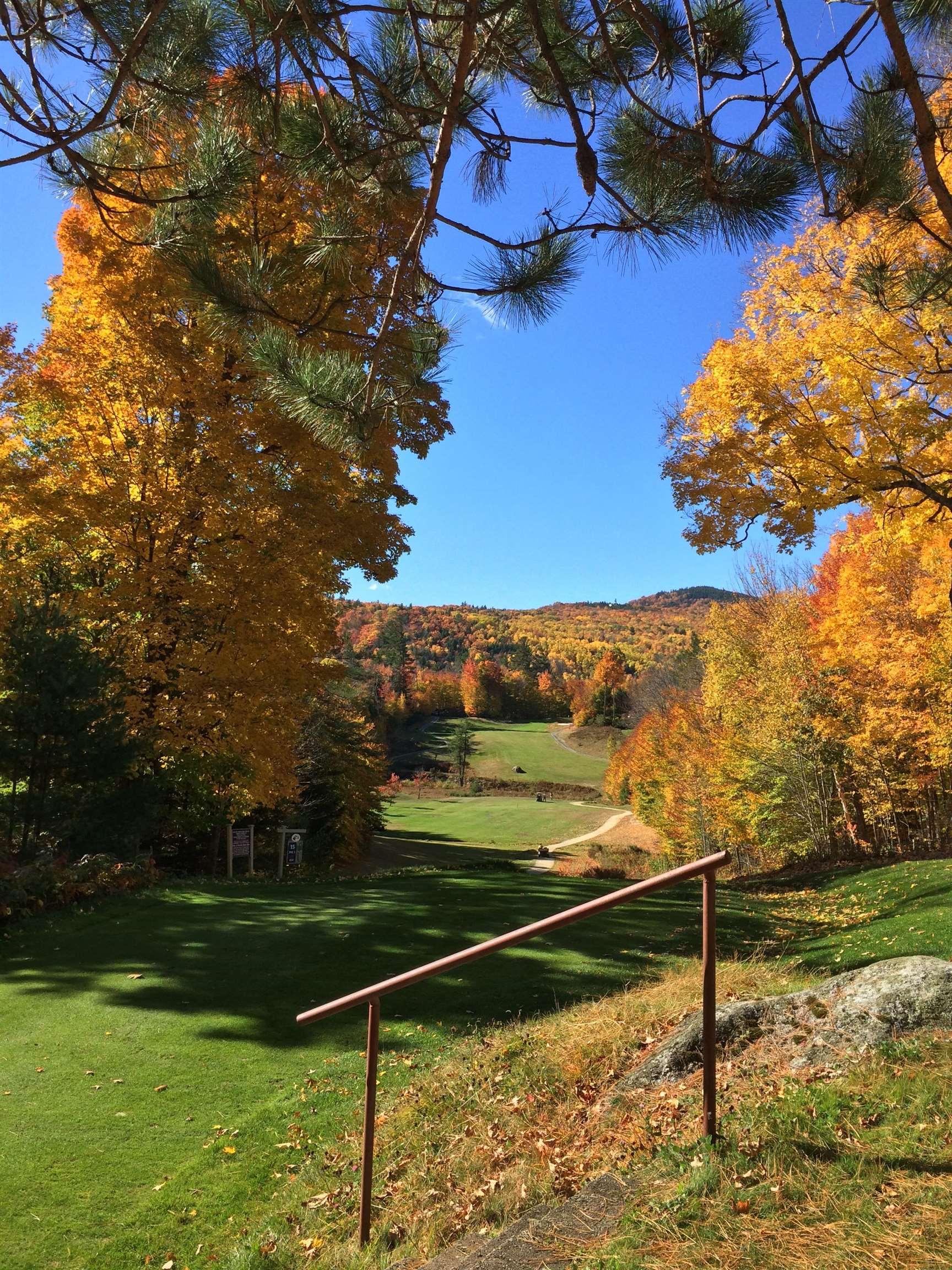 Image 2: Looking down the 15th Fairway