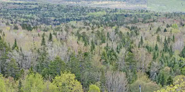 174 Sky View Road
