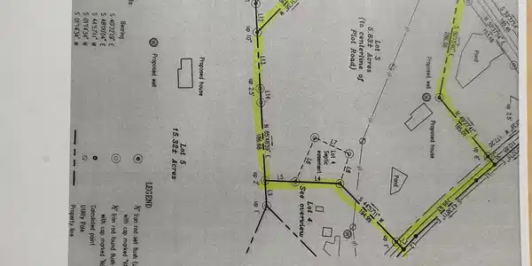 Image 3: Survey