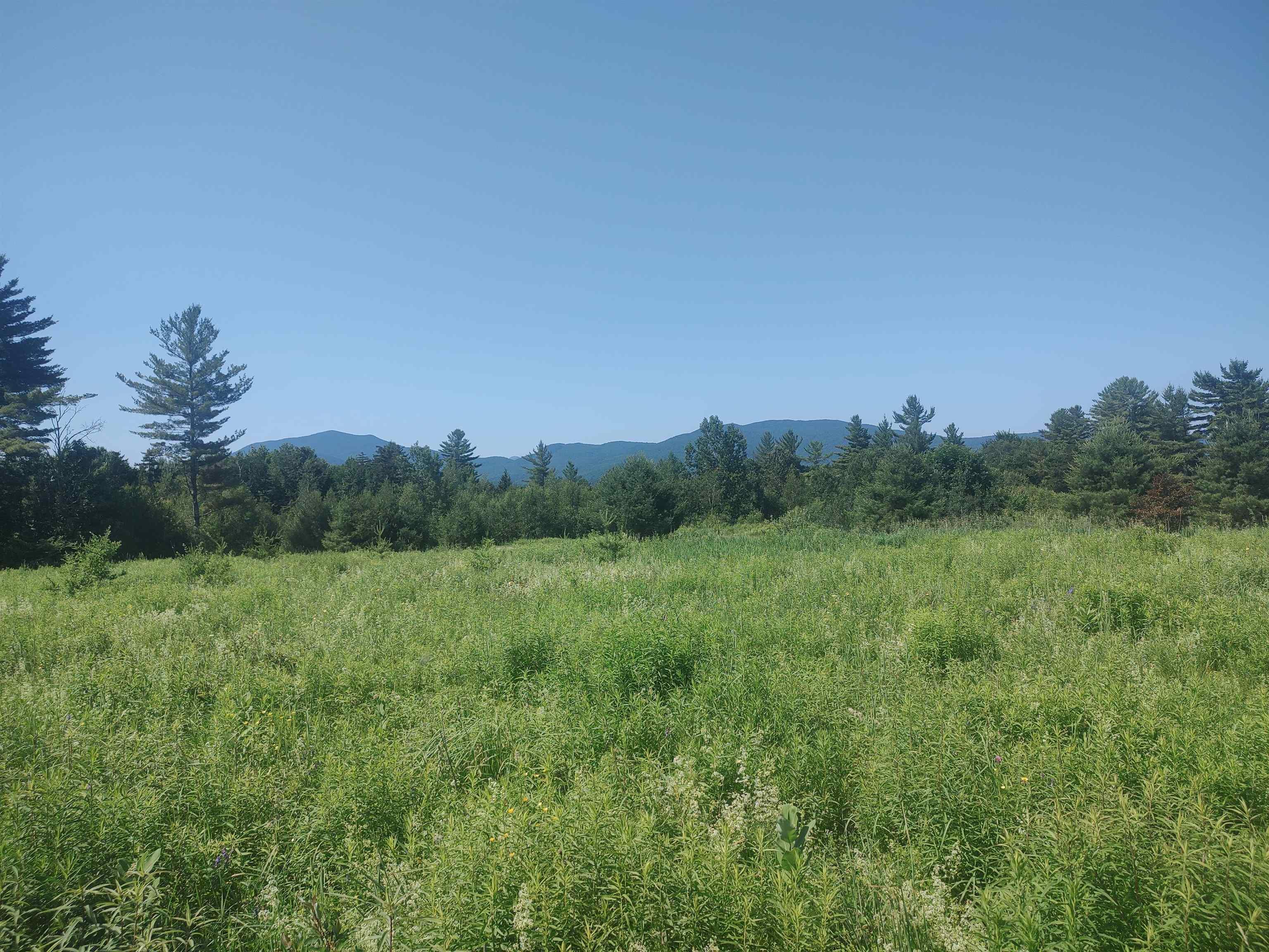 Image 4 Image 4