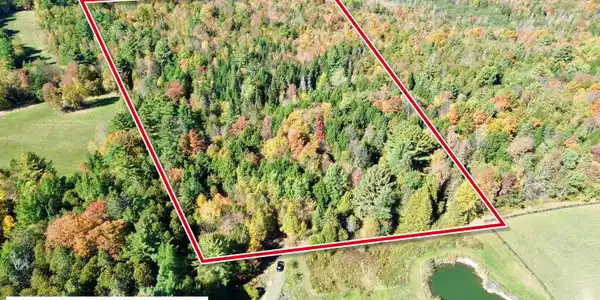 Image 2: Sloped Wooded Lot on Ridge