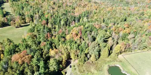 Image 4: 4.79 AC Vacant Land in Coventry