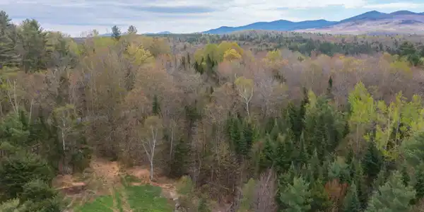 Map 8 Lot 22 Indian Pipe Road