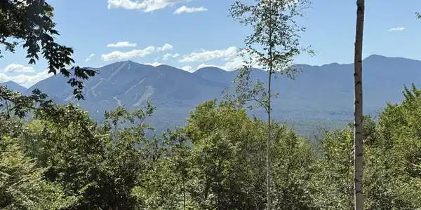15 Nature Drive