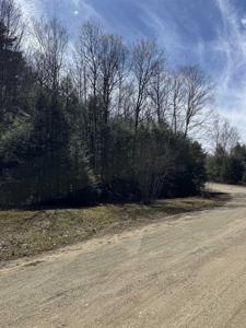 Lot 1 Welch View Drive