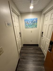 90 Loon Mountain Road
