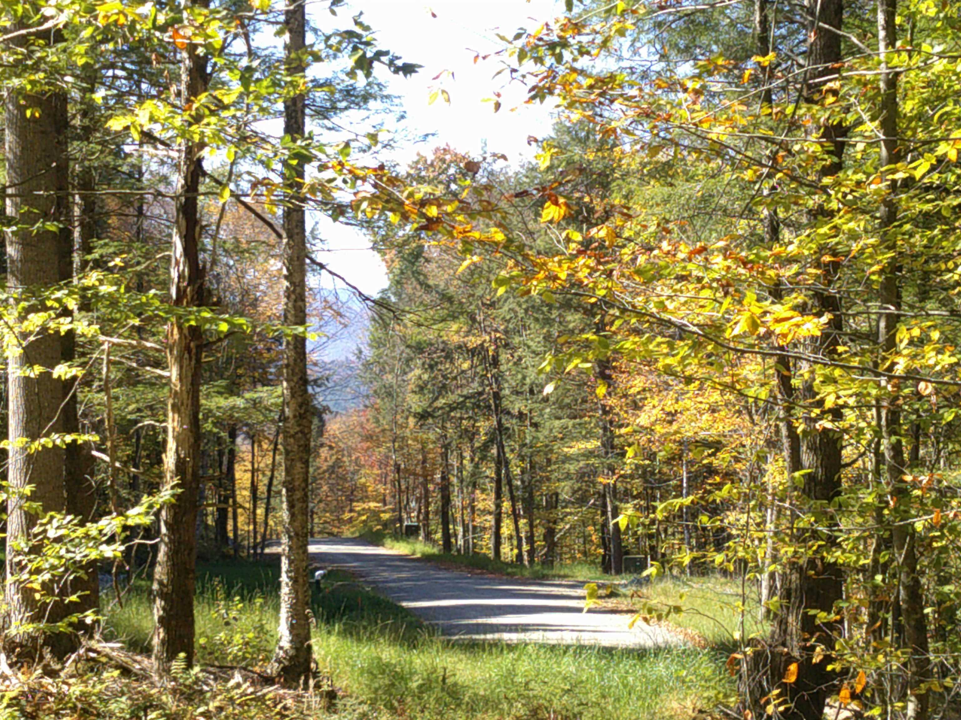 Image 4: Dogwood Springs private road is in