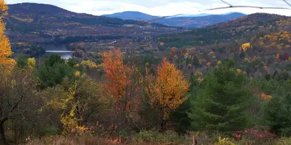 00 Old County South Road